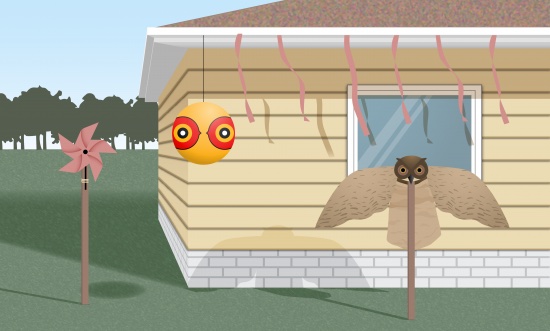 woodpecker deterrent