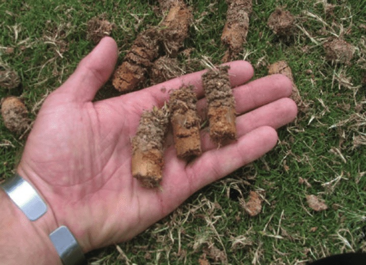 aeration plugs