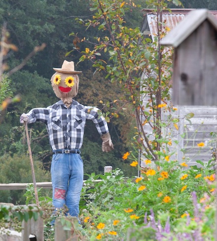 scarecrow