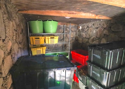 Root cellar