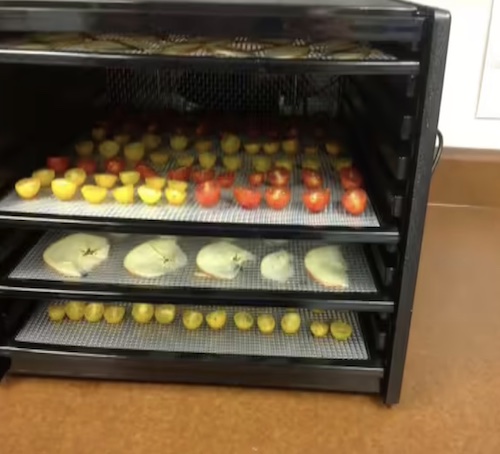 Dehydrator