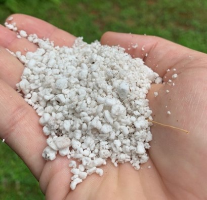 Perlite