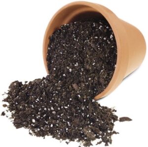 Potting soil
