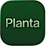 Planta