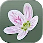 Flora of Virginia