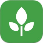 Planter