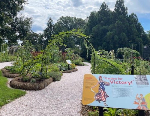 Victory Garden