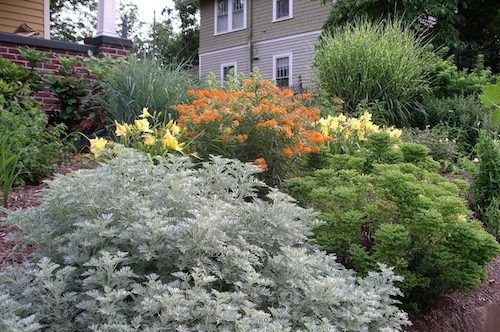 front yard xeriscaping