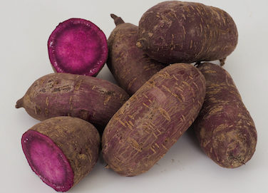 Purple Spendor Sweet Potato