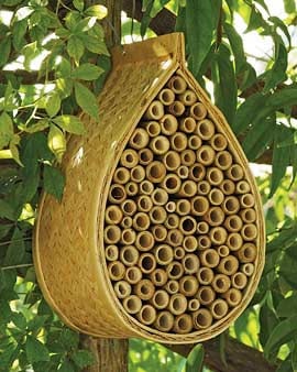 photo: by author Mason bee house