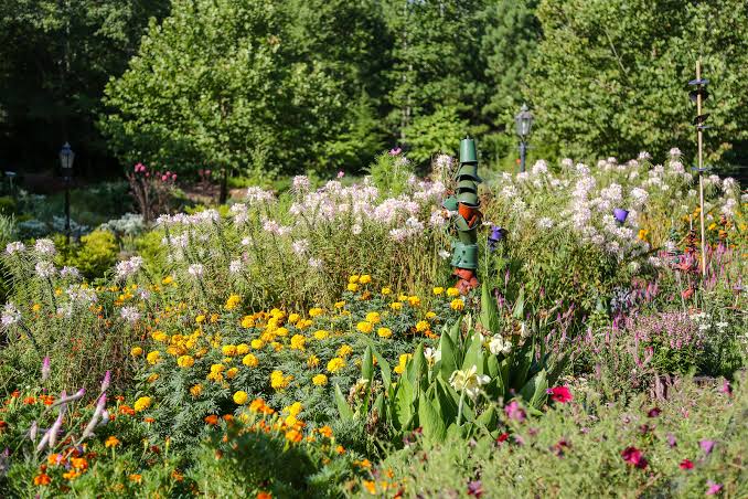 September Garden