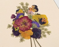 pressed flowers